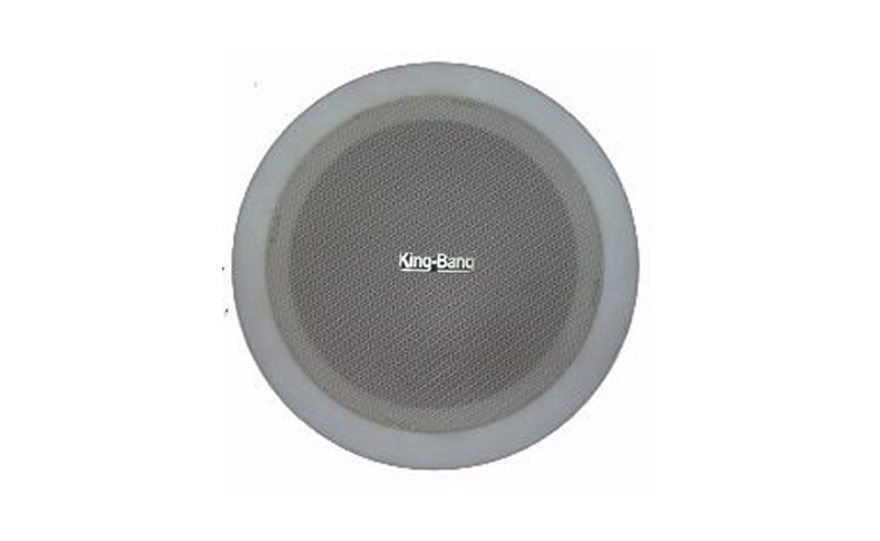 天花扬声器S-116