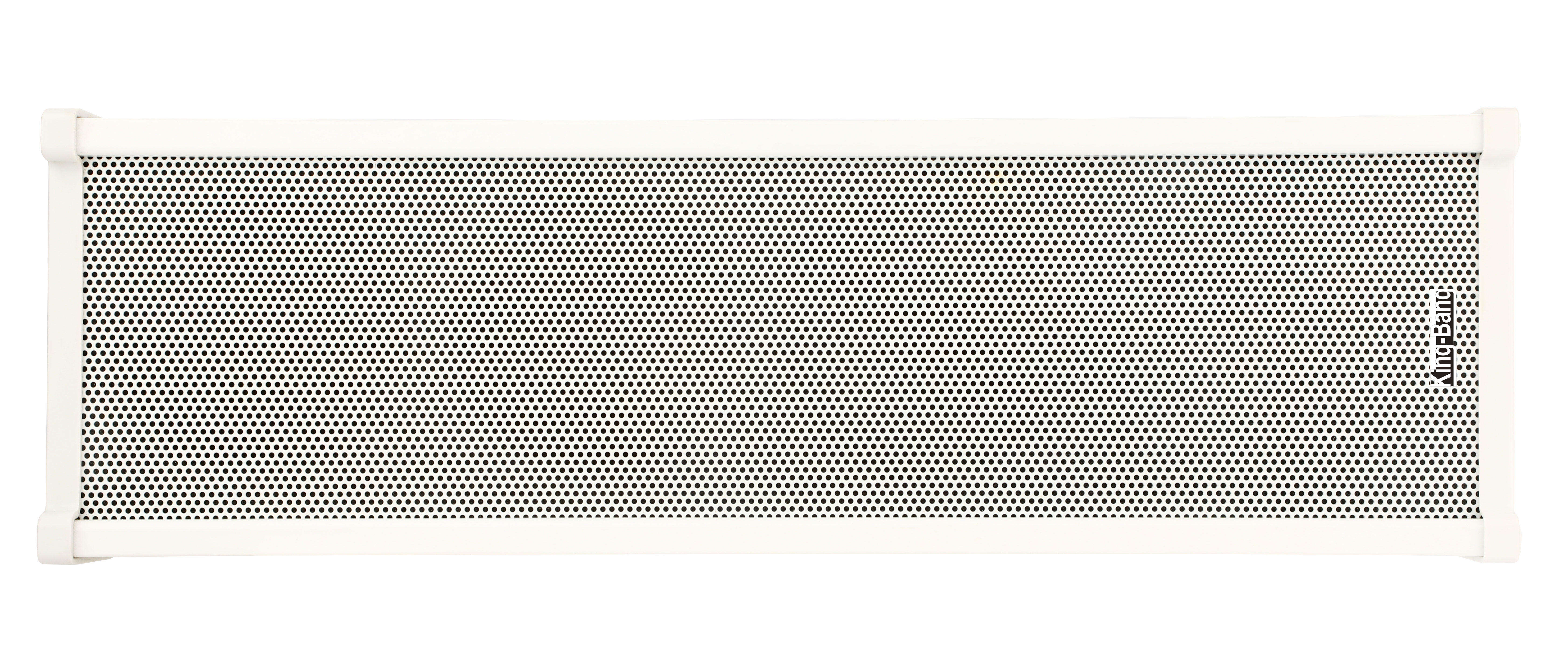 IP网络有源音柱20W